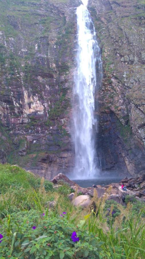 Manacá *